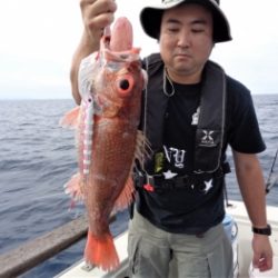 鯛紅丸 釣果