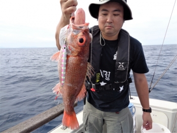 鯛紅丸 釣果