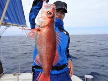 鯛紅丸 釣果