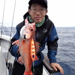 鯛紅丸 釣果