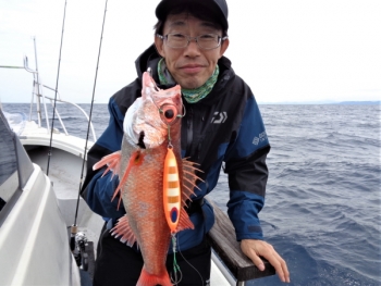 鯛紅丸 釣果