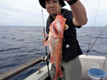 鯛紅丸 釣果