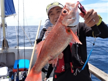 鯛紅丸 釣果
