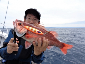 鯛紅丸 釣果