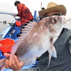 鯛紅丸 釣果