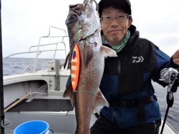 鯛紅丸 釣果