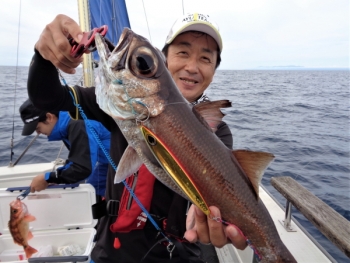 鯛紅丸 釣果