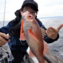 鯛紅丸 釣果