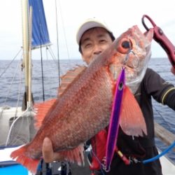 鯛紅丸 釣果