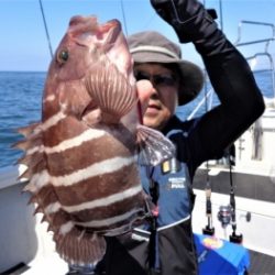 鯛紅丸 釣果