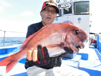 鯛紅丸 釣果