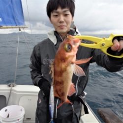 鯛紅丸 釣果