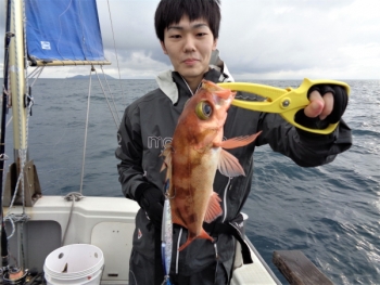 鯛紅丸 釣果