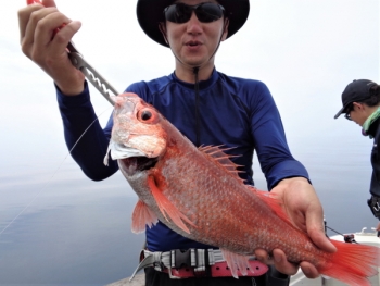 鯛紅丸 釣果