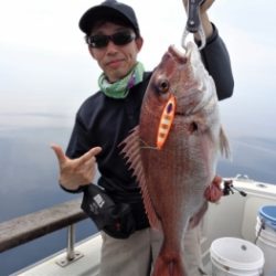 鯛紅丸 釣果
