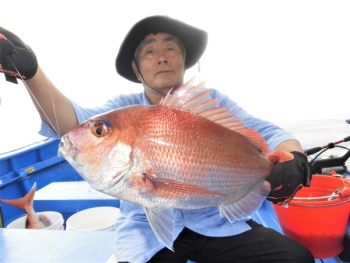 鯛紅丸 釣果