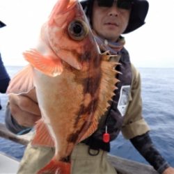 鯛紅丸 釣果