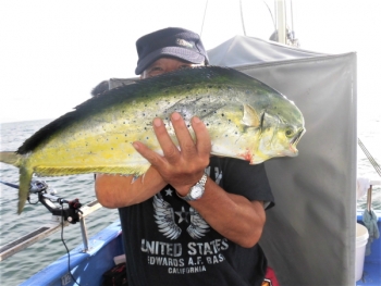 鯛紅丸 釣果