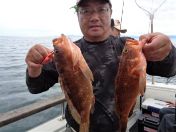 鯛紅丸 釣果