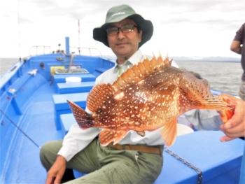 鯛紅丸 釣果