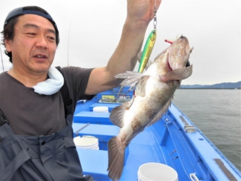 鯛紅丸 釣果