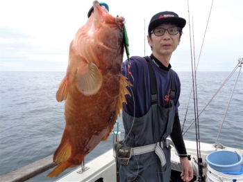 鯛紅丸 釣果