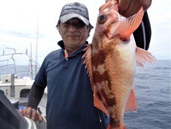 鯛紅丸 釣果