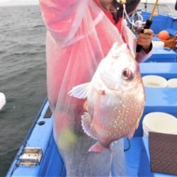 鯛紅丸 釣果