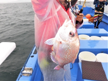 鯛紅丸 釣果