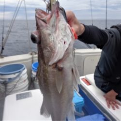 鯛紅丸 釣果