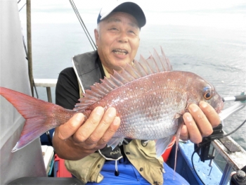 鯛紅丸 釣果