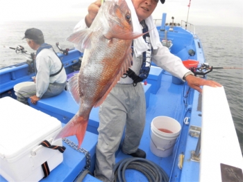鯛紅丸 釣果
