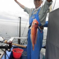 鯛紅丸 釣果