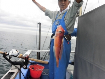鯛紅丸 釣果