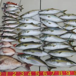 Hit Rush(ヒット ラッシュ） 釣果