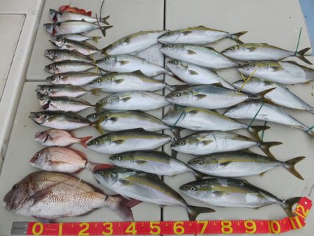 Hit Rush(ヒット ラッシュ） 釣果…