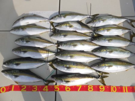 Hit Rush(ヒット ラッシュ） 釣果…