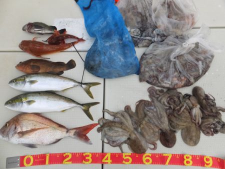 Hit Rush(ヒット ラッシュ） 釣果…