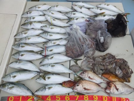 Hit Rush(ヒット ラッシュ） 釣果…