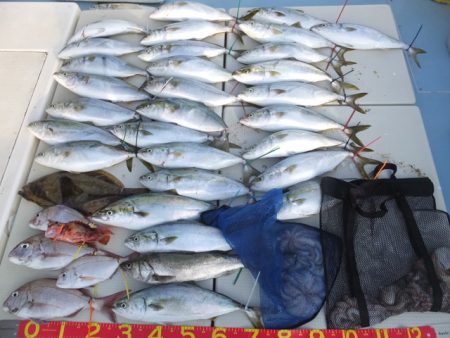 Hit Rush(ヒット ラッシュ） 釣果…