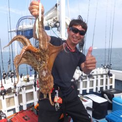 Hit Rush(ヒット ラッシュ) 釣果