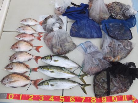 Hit Rush(ヒット ラッシュ) 釣果