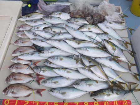 Hit Rush(ヒット ラッシュ） 釣果…