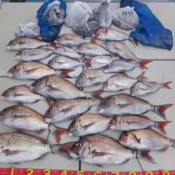 Hit Rush(ヒット ラッシュ) 釣果