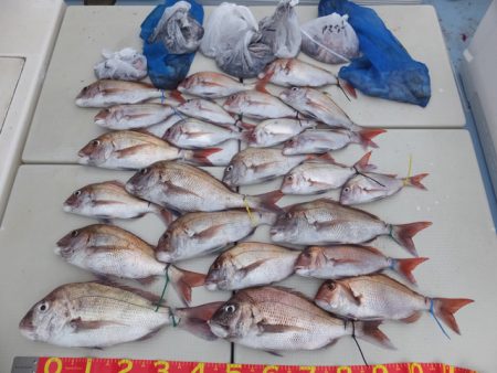 Hit Rush(ヒット ラッシュ) 釣果