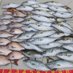 Hit Rush(ヒット ラッシュ) 釣果