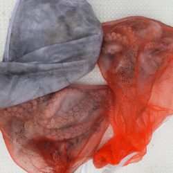 Hit Rush(ヒット ラッシュ) 釣果