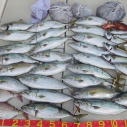 Hit Rush(ヒット ラッシュ) 釣果