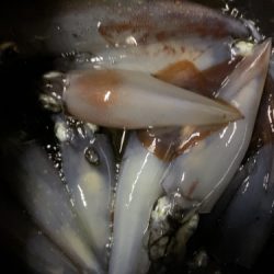 釣船 浦島太郎 釣果