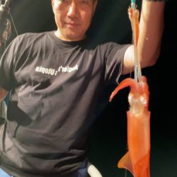 釣船 浦島太郎 釣果